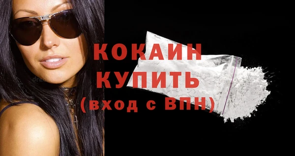 кокс Дмитриев