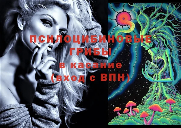 трава Дмитровск