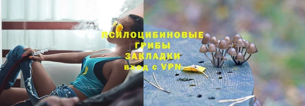 кокс Дмитриев