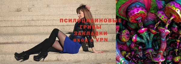 дурь Дмитров