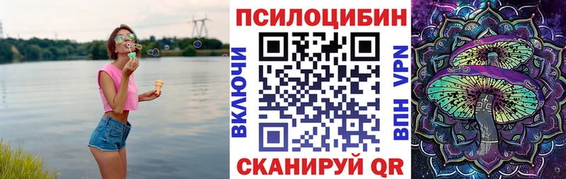 Галлюциногенные грибы Psilocybe  Купить  Новомичуринск 